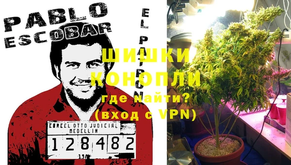 PSILOCYBIN Алексин