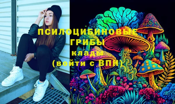 спайс Сосновка