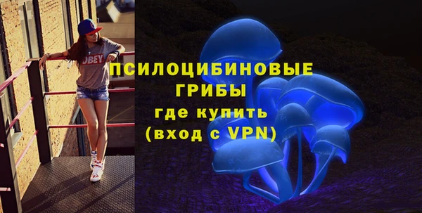 PSILOCYBIN Алексин