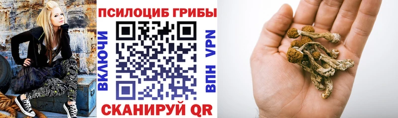 Галлюциногенные грибы GOLDEN TEACHER Талица